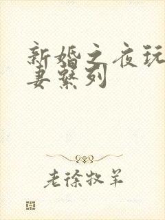 新婚之夜玩弄人妻系列