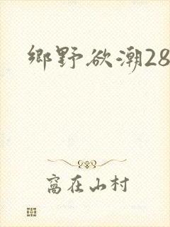 乡野欲潮28章