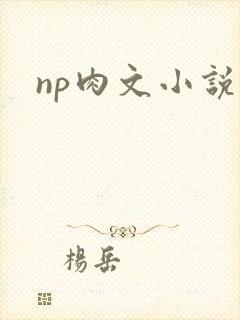np肉文小说