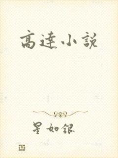 高达小说封面