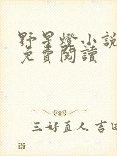 野星灯小说全文免费阅读封面