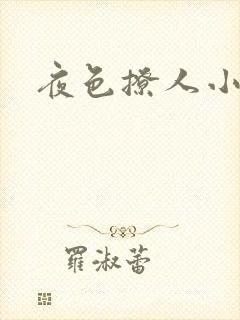 夜色撩人小说