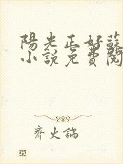 阳光正好苏玥玥小说免费阅读