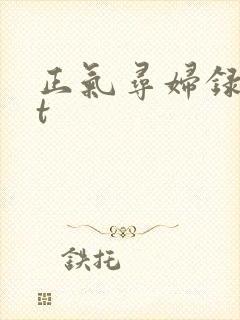 正气寻妇录txt