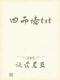 四面墙txt封面