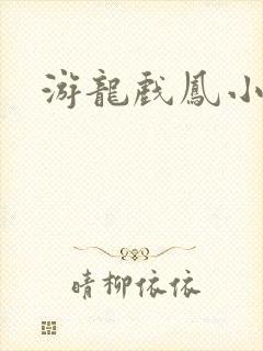 游龙戏凤小说