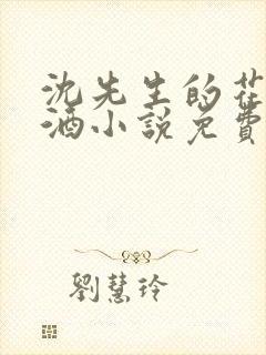 沈先生的花式调酒小说免费阅读