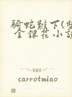 骑蛇难下(双) 金银花小说封面