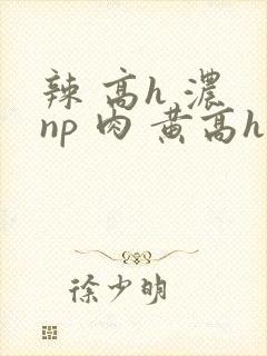 辣 高h 浓 np 肉 黄高h