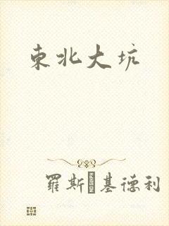 东北大坑