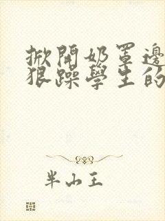 掀开奶罩边躁狠狠躁学生的小文字