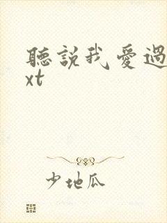 听说我爱过你txt