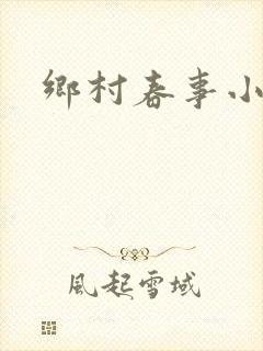 乡村春事小说封面