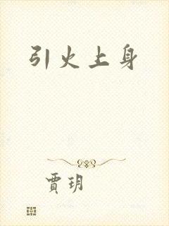 引火上身封面