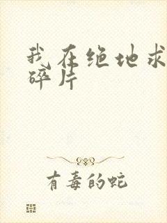 我在绝地求生捡碎片封面