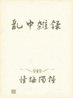 乱中杂录