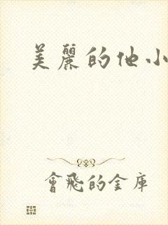 美丽的他小说
