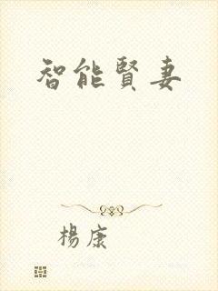 智能贤妻