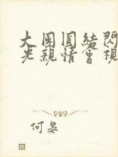 大团圆结闪闪发光亲情会视频