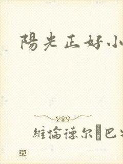 阳光正好小说