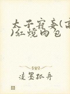 太子宠妾(高肉)红烧肉包封面