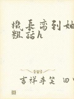 机长脔到她哭h粗话h