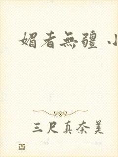 媚者无疆 小说