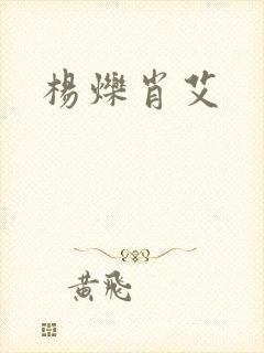 杨烁肖艾