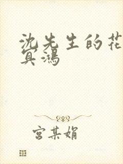 沈先生的花式调冥鸿封面