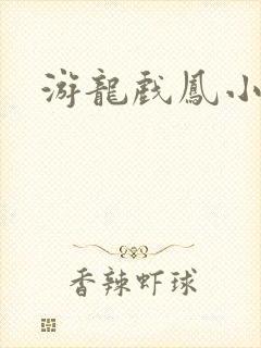 游龙戏凤小说