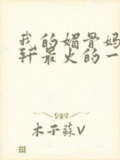 我的媚骨妈妈林轩最火的一句