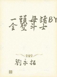 一头母猪BY黄金圣斗士