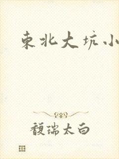 东北大坑小说