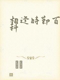 相逢时节百度百科封面