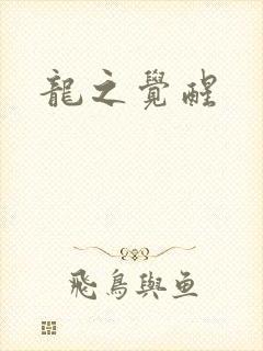 龙之觉醒