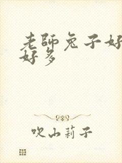 老师兔子好软水好多封面