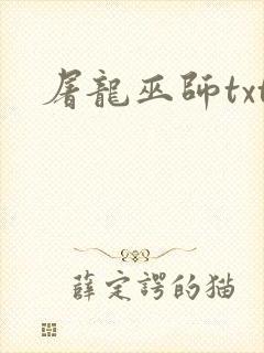 屠龙巫师txt