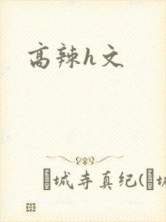 高辣h文