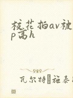 校花拍av被np高h