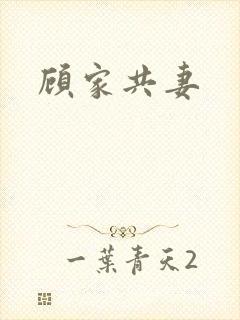 顾家共妻封面