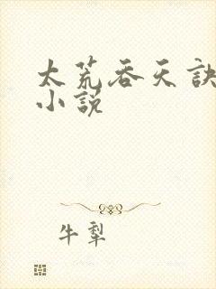 太荒吞天诀免费小说