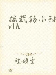 总裁的小秘书1v1h