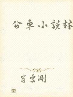 公车小说林蔓蔓