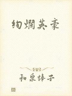 绚烂英豪封面