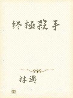 终极杀手