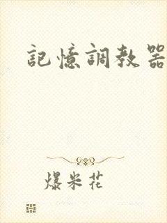 记忆调教器