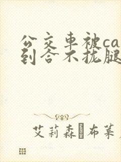 公交车被cao到合不拢腿视频封面