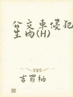 公交车侵犯小男生肉(H)