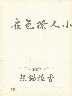 夜色撩人小说