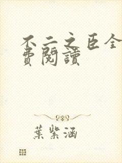 不二之臣全文免费阅读